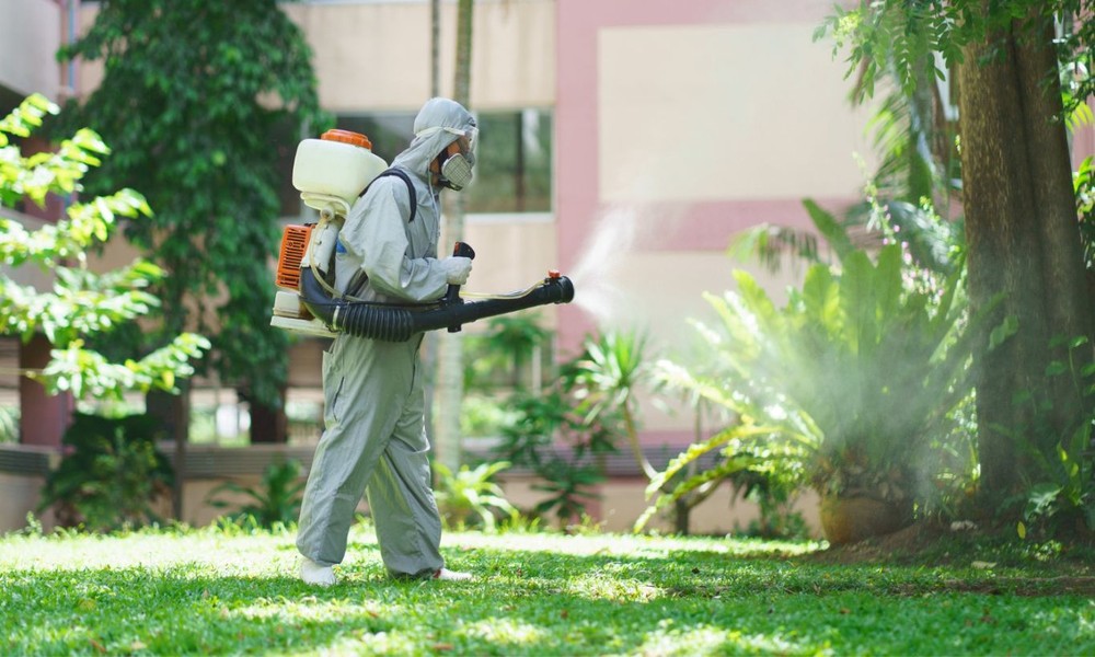 Seasonal Pest Prevention Tips: Protect Your Home Year-Round